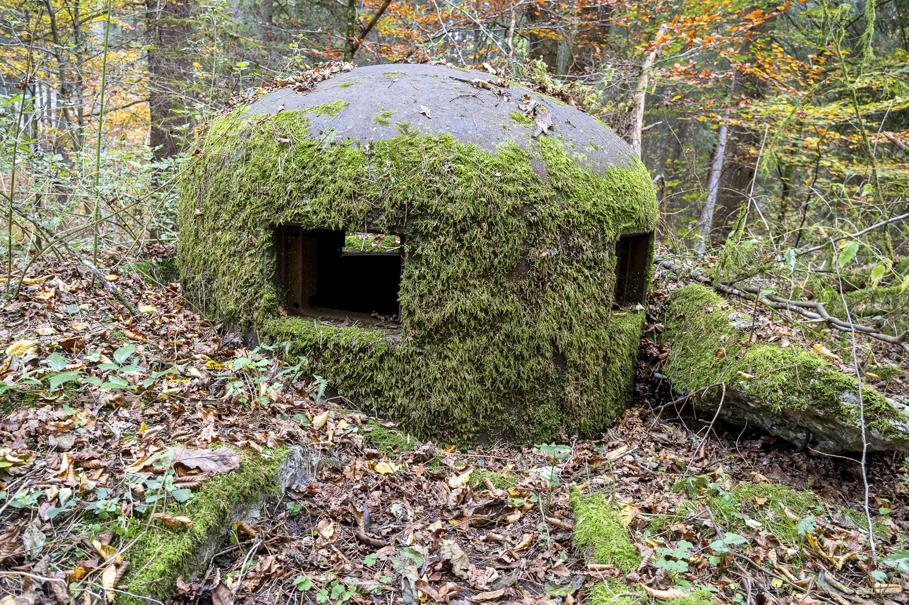 Ligne Maginot - ROTHENBOURG - (Casemate d'infanterie - Double) - Cloche GFM Est