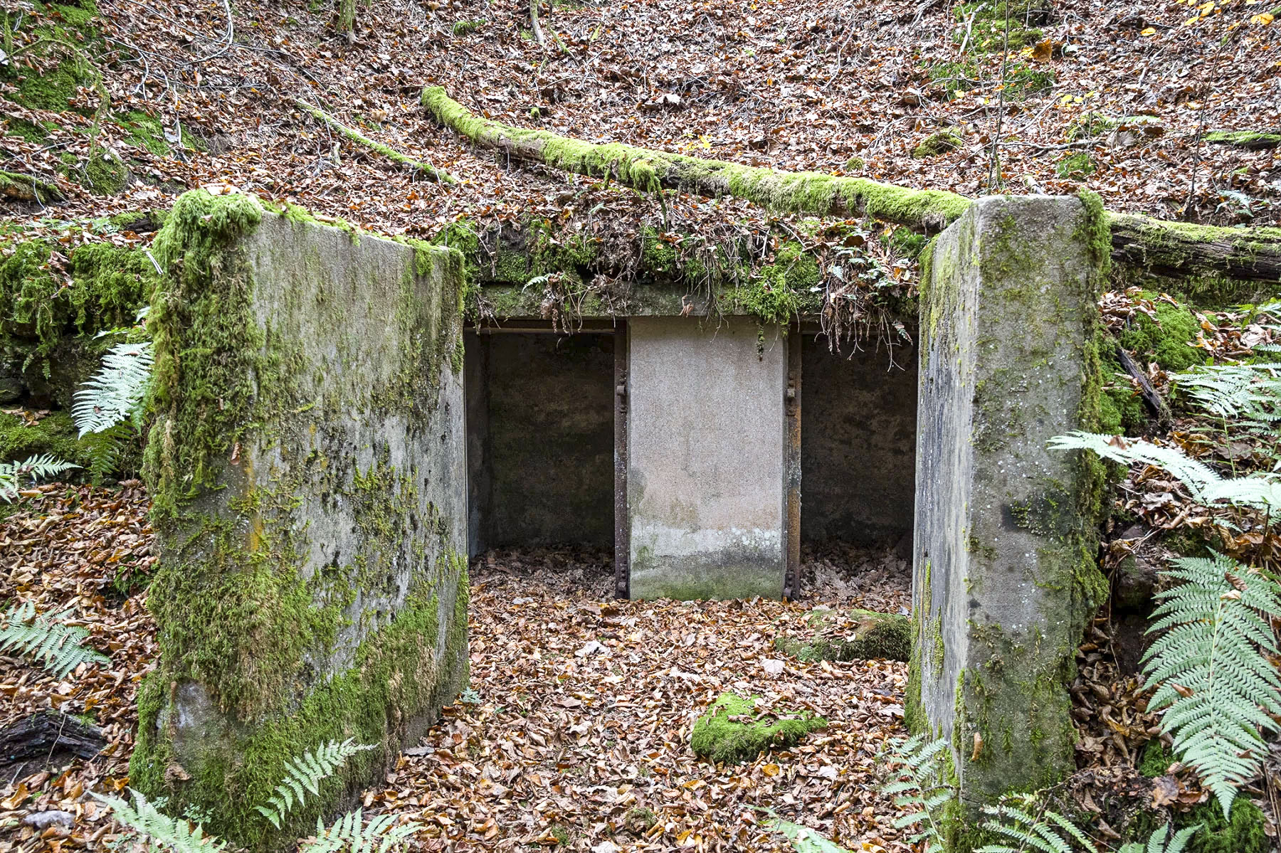Ligne Maginot - ROTHENBOURG - (Casemate d'infanterie - Double) - Niche stockage des mines