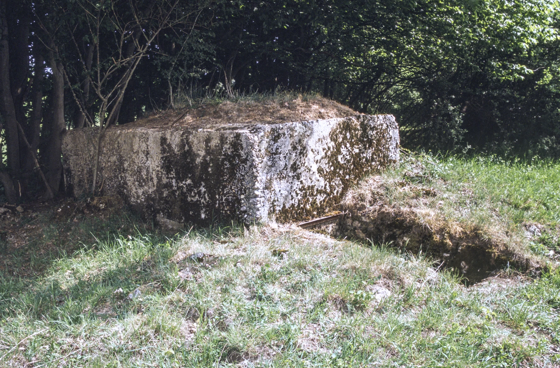 Ligne Maginot - NONNENWALD 6 - (Blockhaus pour arme infanterie) - 