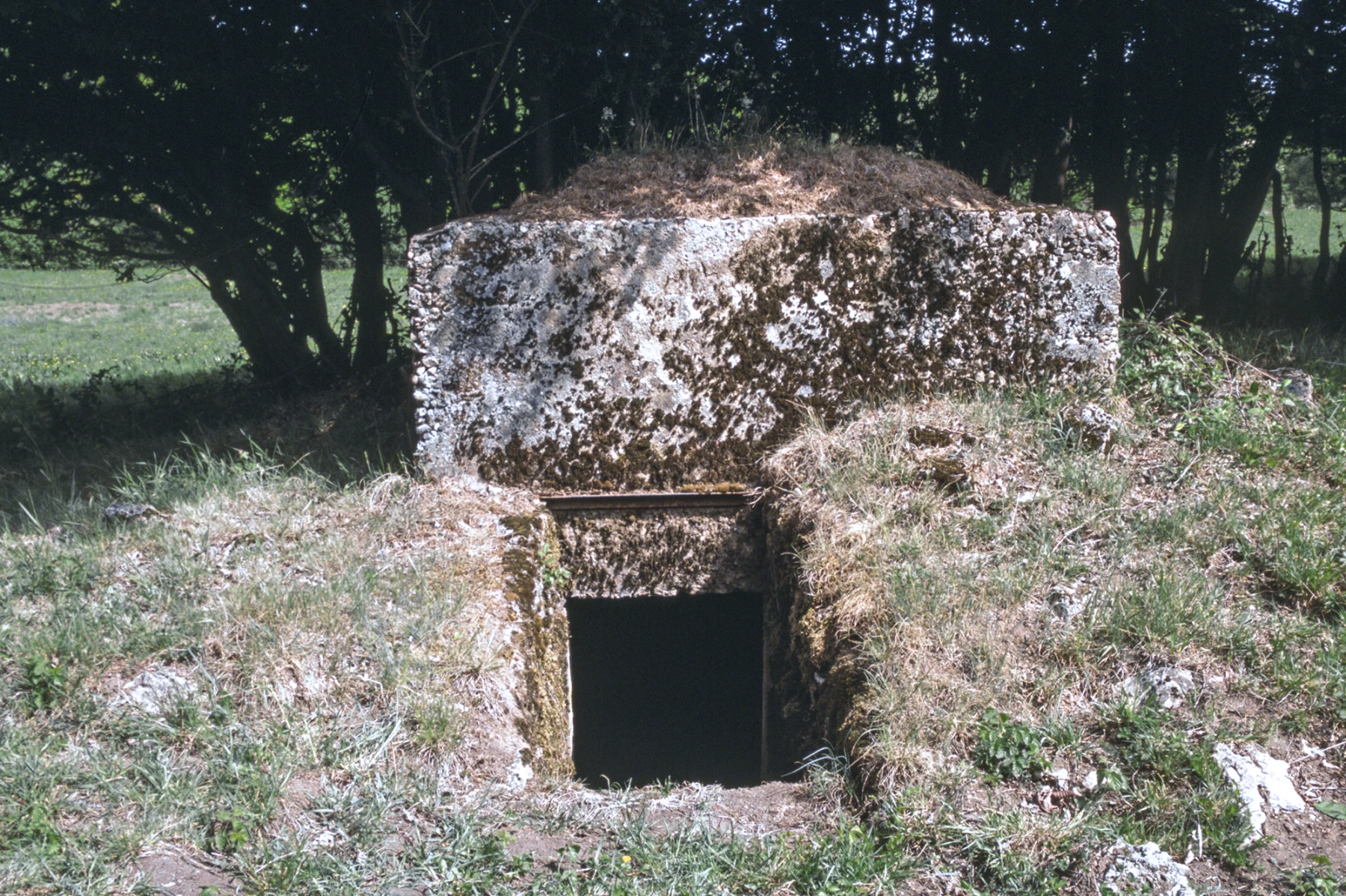 Ligne Maginot - NONNENWALD 6 - (Blockhaus pour arme infanterie) - 