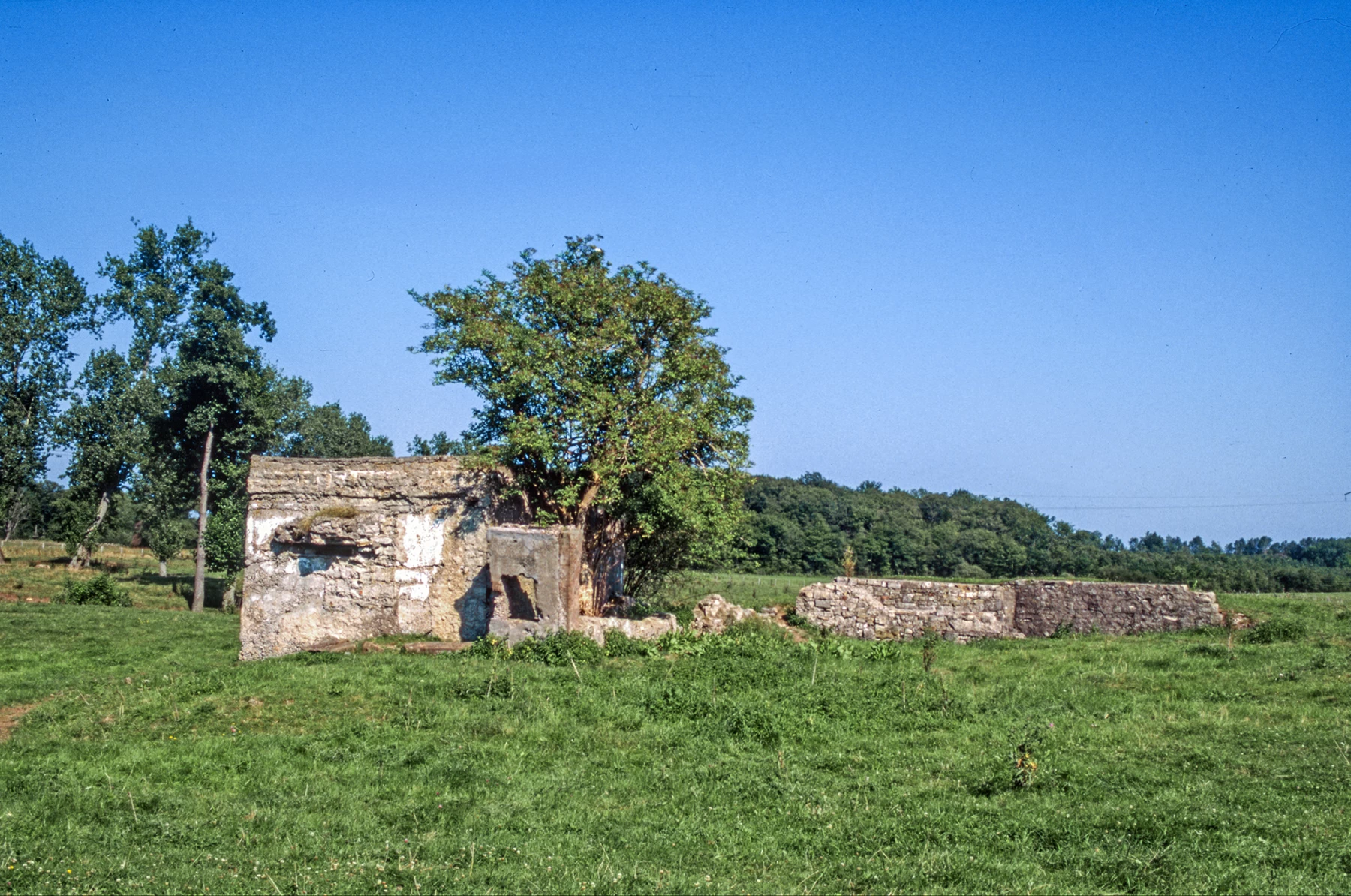 Ligne Maginot - MUEHLGEWANN - (Blockhaus pour arme infanterie) - 