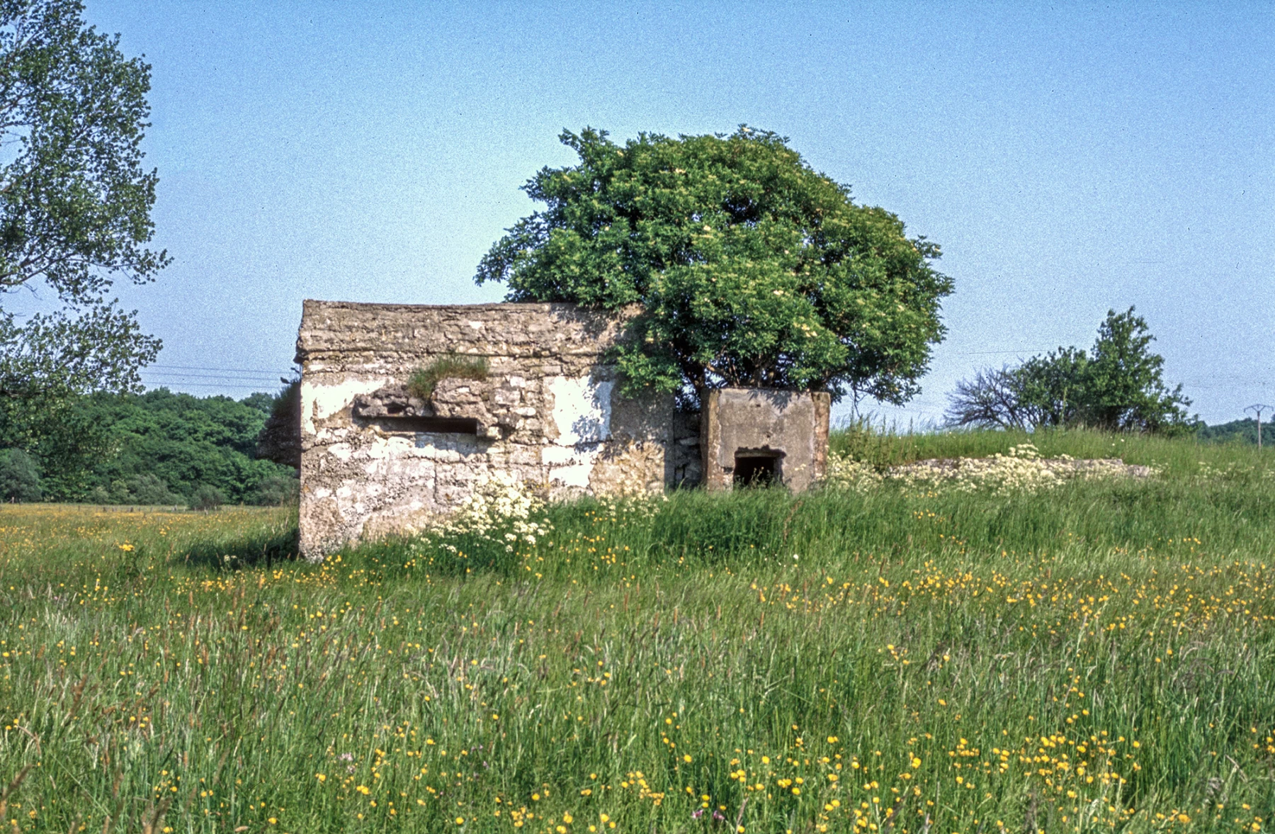 Ligne Maginot - MUEHLGEWANN - (Blockhaus pour arme infanterie) - 