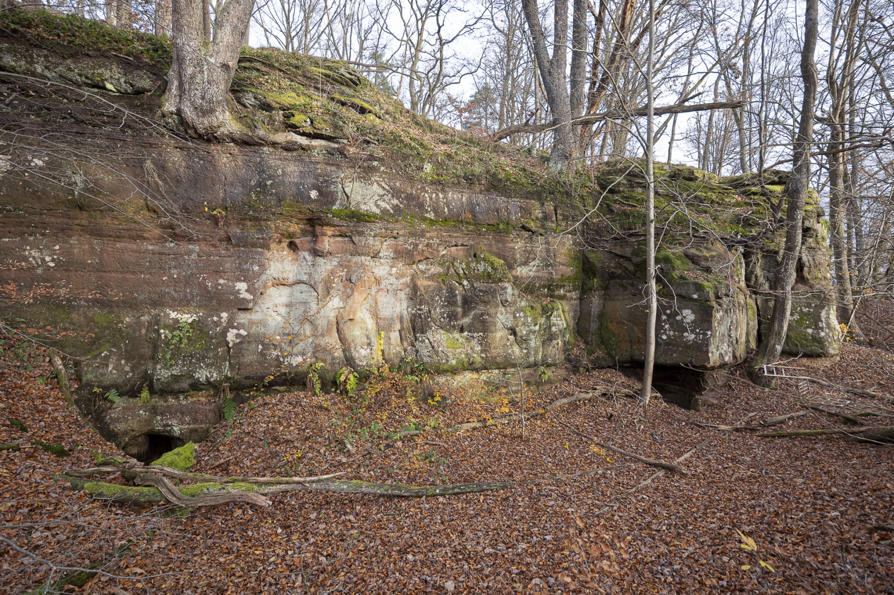 Ligne Maginot - KRAEHFELSEN - (Abri) - L'abri dans l'ancienne carrière du Kraehfelsen
