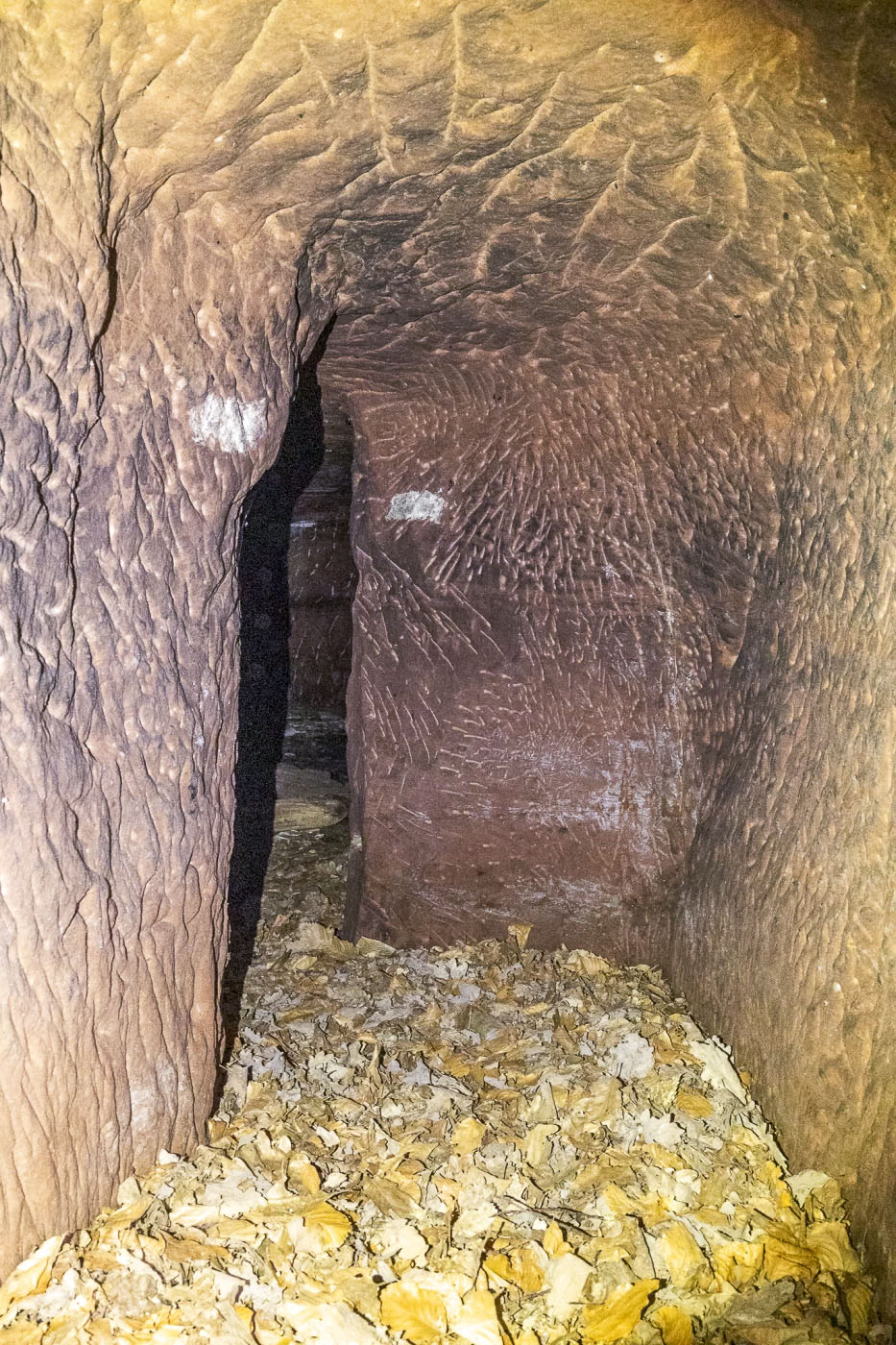 Ligne Maginot - KRAEHFELSEN - (Abri) - L'entrée de gauche en chicane 