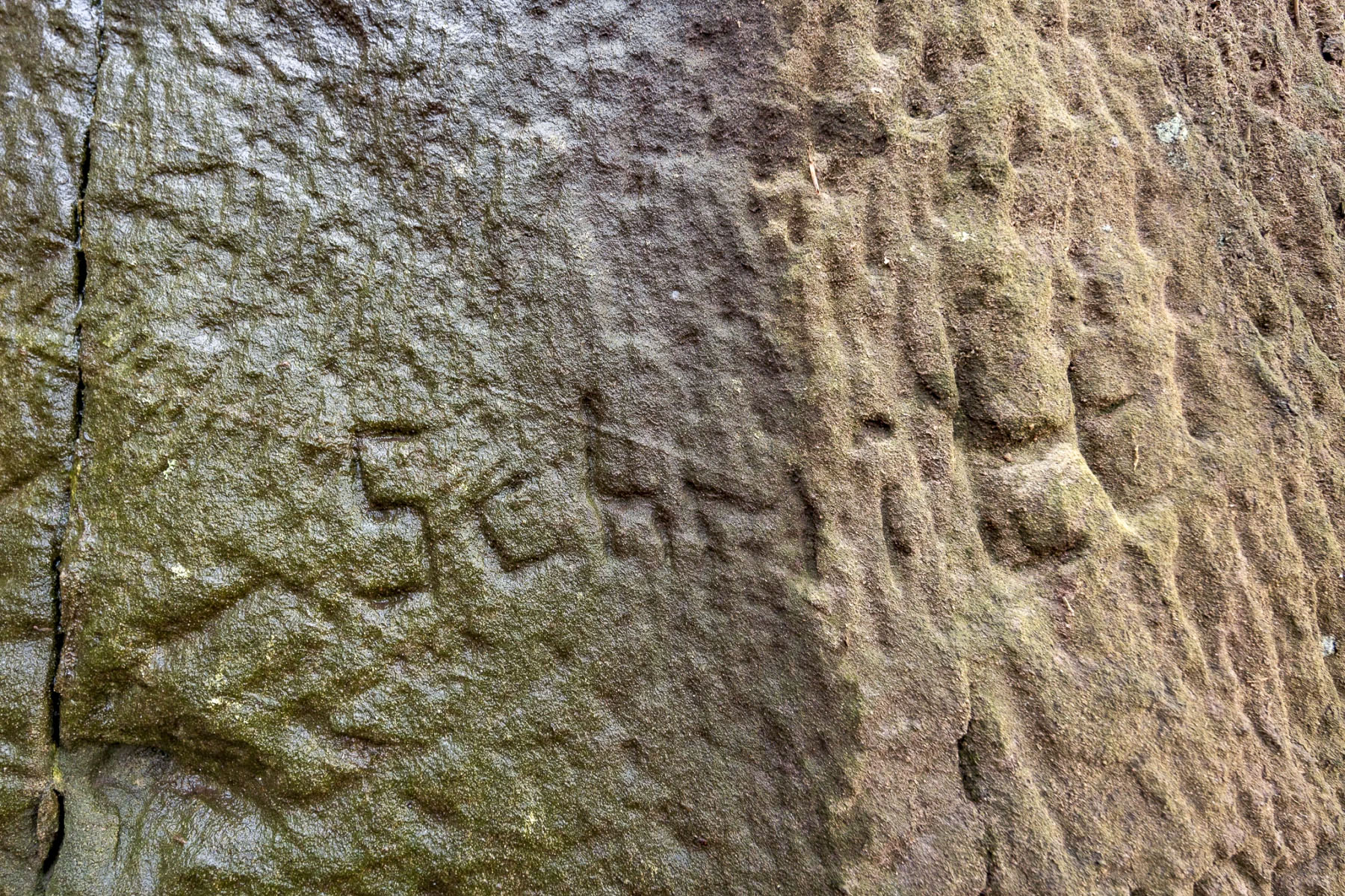 Ligne Maginot - KRAEHFELSEN - (Abri) - Un graffiti à proximité de l'abri