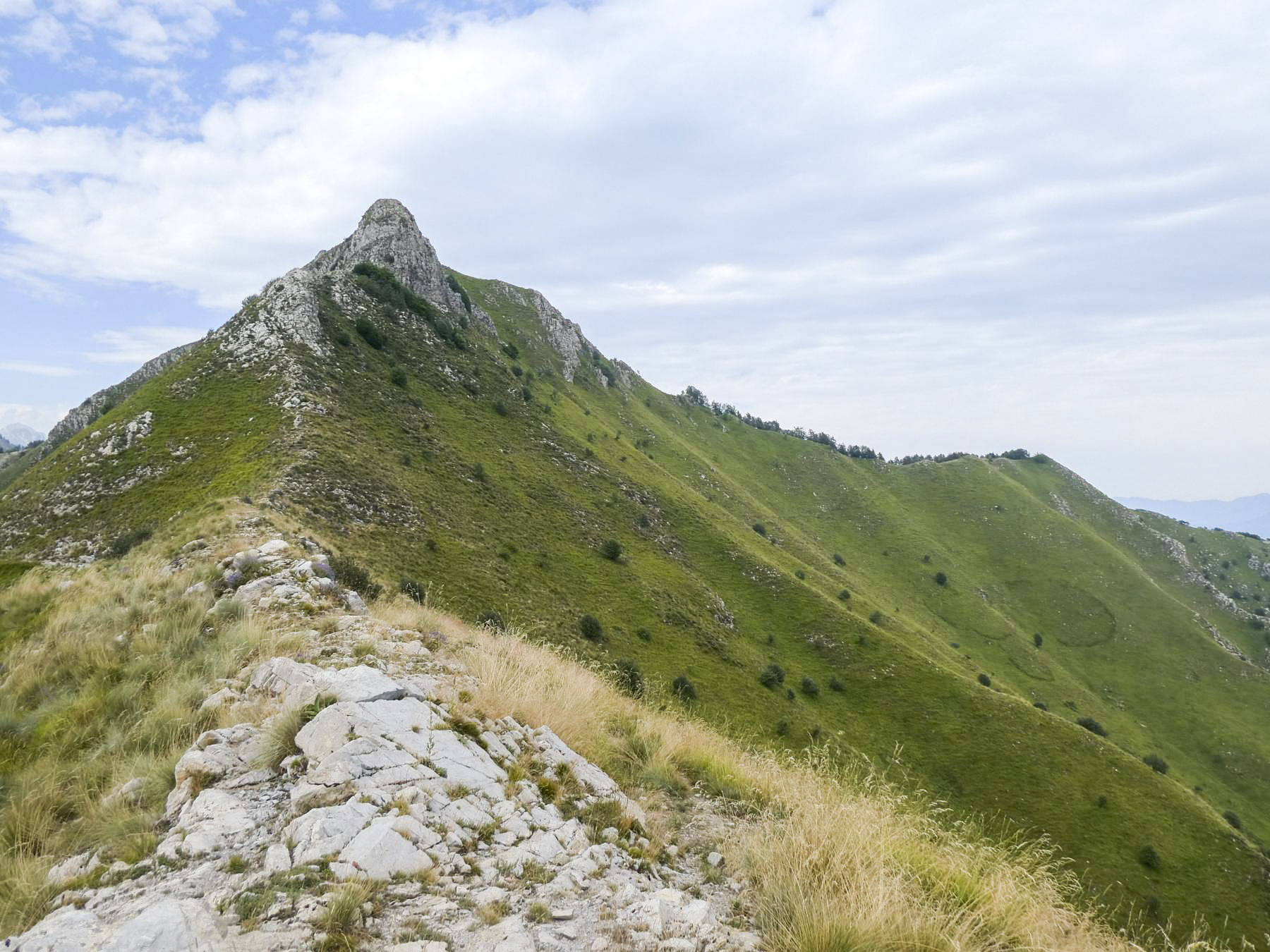 Ligne Maginot - L'ARBOIN - GONELLA - (Ouvrage d'artillerie) - Cime de la Gonella