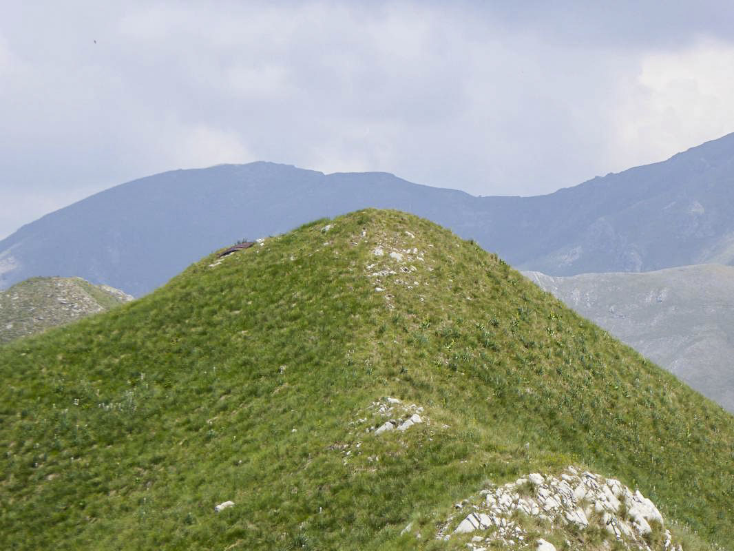 Ligne Maginot - ORTIGHEA SUD - (Observatoire d'artillerie) - Vue sur Ortighéa