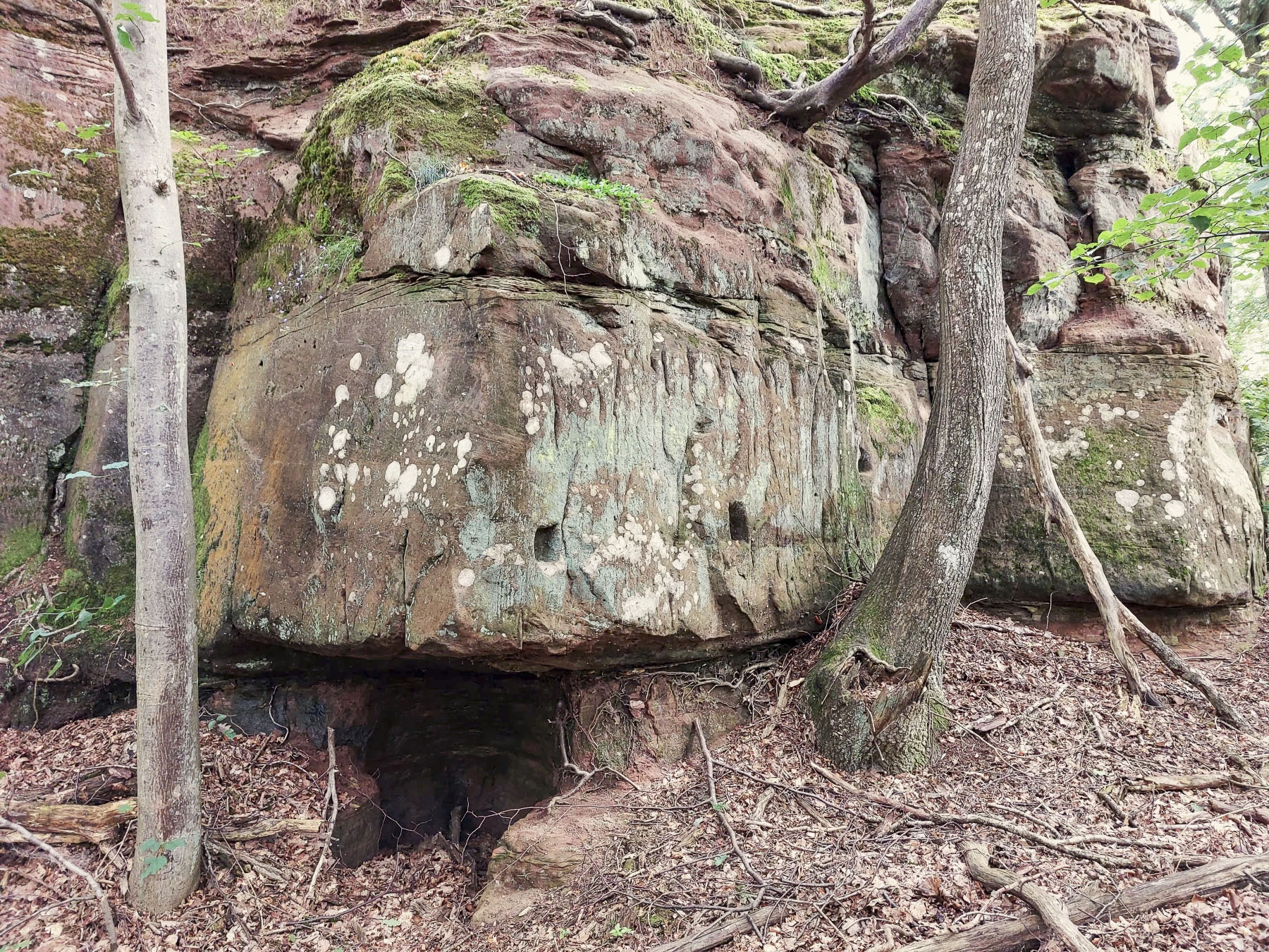 Ligne Maginot - KRAEHFELSEN - (Abri) - L'entrée de droite inachevée