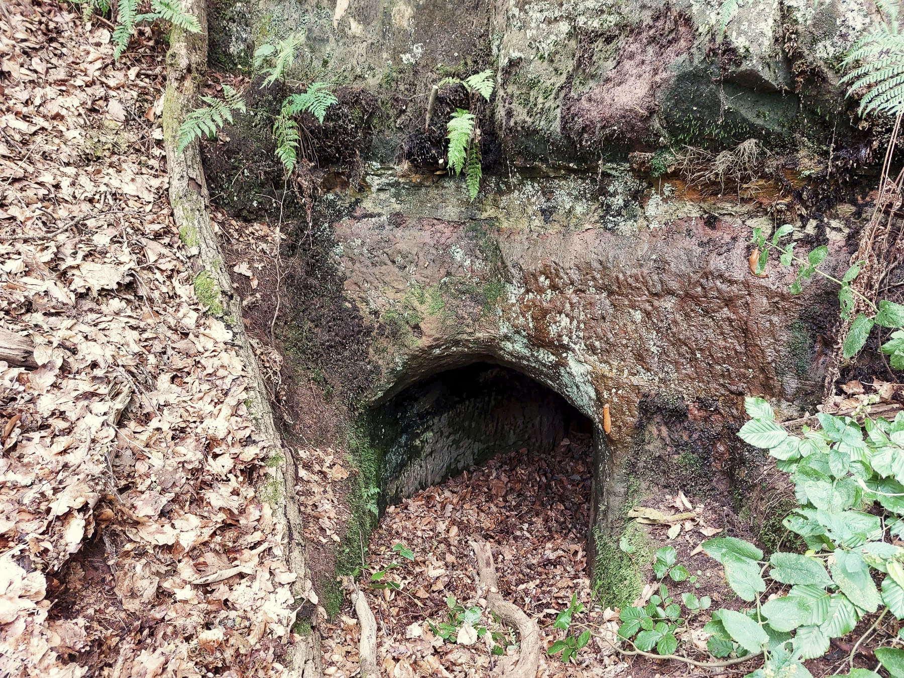 Ligne Maginot - KRAEHFELSEN - (Abri) - L'entrée de gauche 