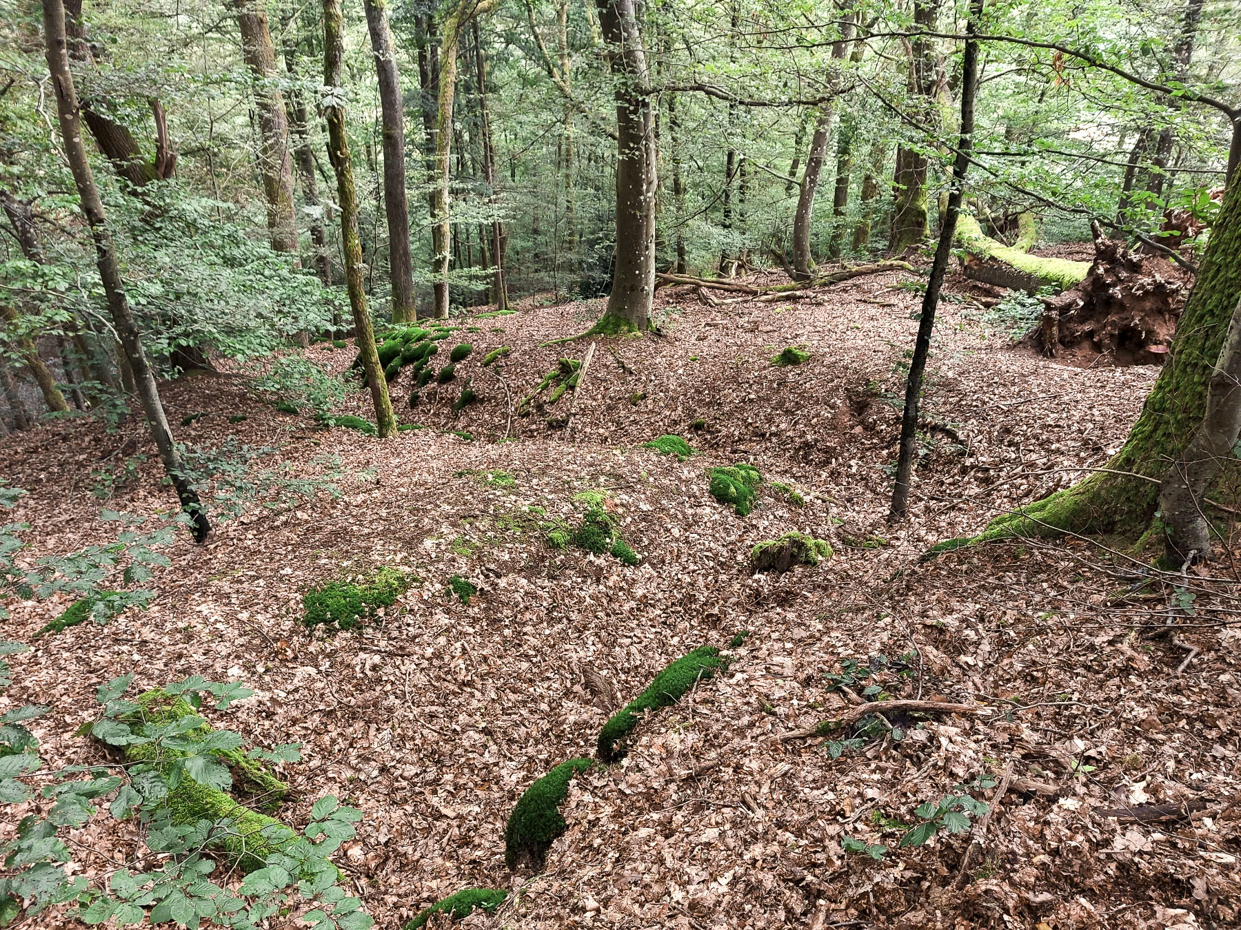 Ligne Maginot - KRAEHFELSEN - (Abri) - Tranchée vers la carrière