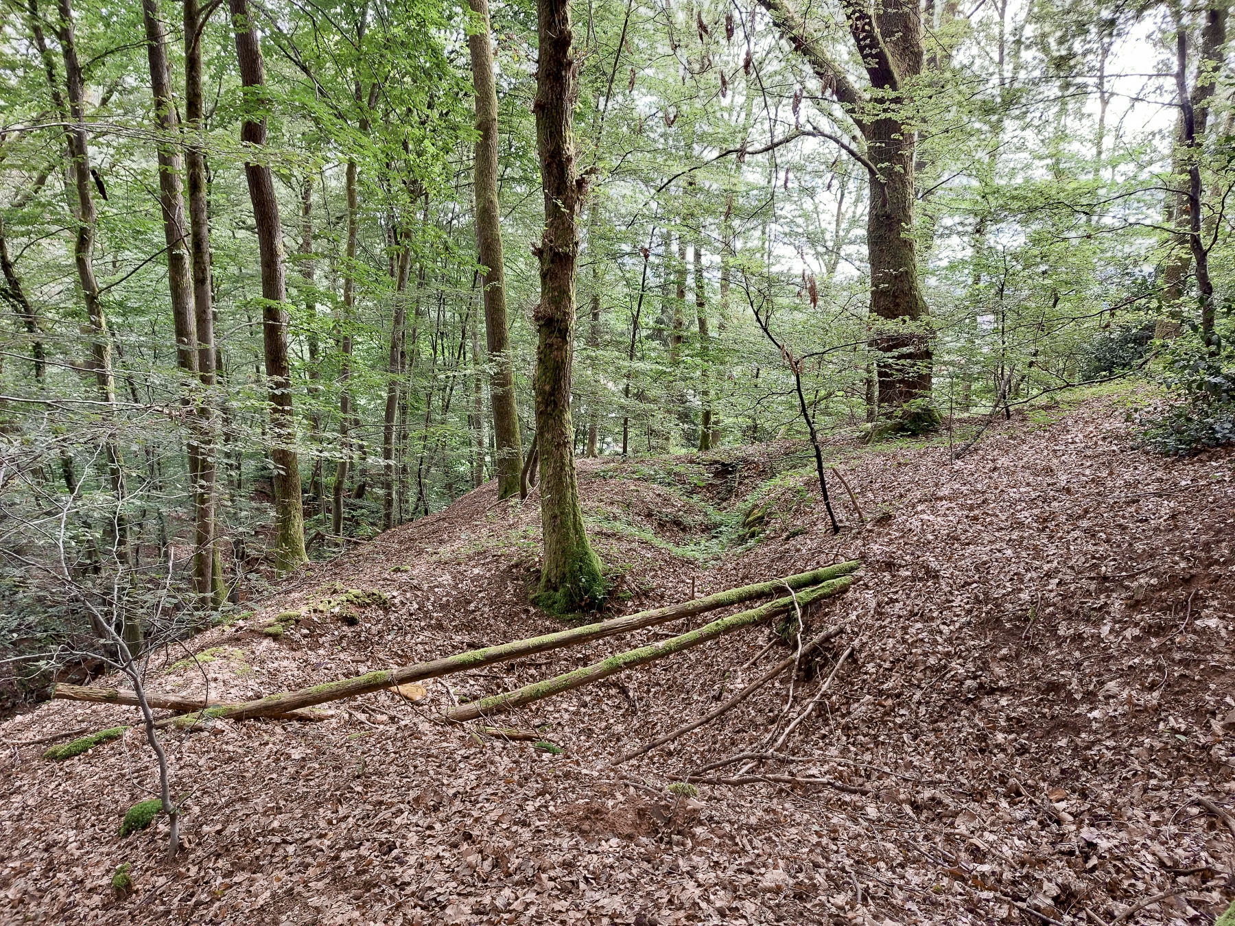 Ligne Maginot - KRAEHFELSEN - (Abri) - Tranchée et postes de tir
