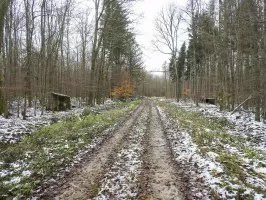 Ligne Maginot - REISWEG 2 - (Blockhaus pour arme infanterie) - Une vue d'ensemble du PA.
Le blockhaus 2 est à gauche, le 3 à droite.