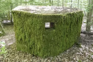 Ligne Maginot - REISWEG 2 - (Blockhaus pour arme infanterie) - 