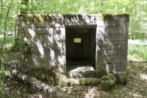 Ligne Maginot - REISWEG 2 - (Blockhaus pour arme infanterie) - 