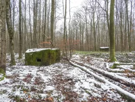 Ligne Maginot - REISWEG 3 - (Blockhaus pour arme infanterie) - Une vue du point d'appui.
Le blockhaus 3 devant et à l'arrière le n°2.