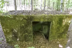 Ligne Maginot - REISWEG 3 - (Blockhaus pour arme infanterie) - 