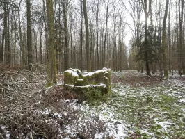 Ligne Maginot - REISWEG 1 - (Blockhaus pour arme infanterie) - 