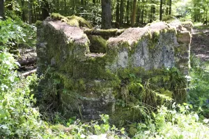 Ligne Maginot - REISWEG 1 - (Blockhaus pour arme infanterie) - Bloc pour FM