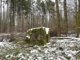 Ligne Maginot - REISWEG 1 - (Blockhaus pour arme infanterie) - 