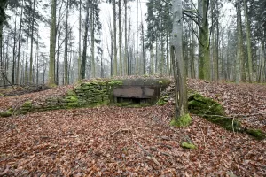Ligne Maginot - WINECKERTHAL 2 - (Blockhaus pour arme infanterie) - 