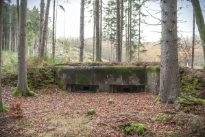 Ligne Maginot - ERBSENTHAL 1 - (Blockhaus pour arme infanterie) - 