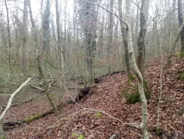 Ligne Maginot - KOENIGSBRUCK NORD 2 - (Cuve pour arme d'infanterie) - Champ de tir de la cuve vers l'Est, sur le 'Thalweg'.