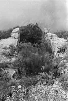 Ligne Maginot - COL DE LA TORRE - (Cuve pour arme d'infanterie) - Cuve pour arme d'infanterie
