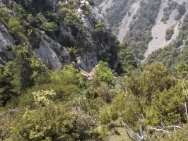 Ligne Maginot - COL DE LA TORRE - (Cuve pour arme d'infanterie) - Vue sur la route menant au col de la Madone, sortie du deuxième tunnel 