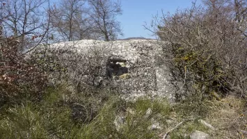 Ligne Maginot - COL DE SEGRA SUD-EST 1 - (Blockhaus pour arme infanterie) - 
