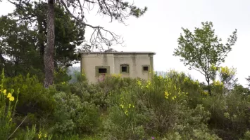 Ligne Maginot - COUPIERE - (Stand de tir) - 