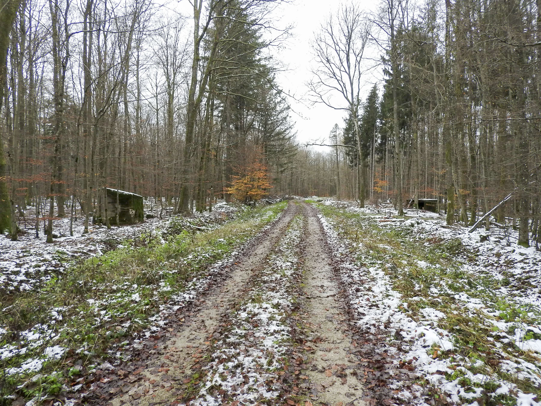 Ligne Maginot - REISWEG 2 - (Blockhaus pour arme infanterie) - Une vue d'ensemble du PA.
Le blockhaus 2 est à gauche, le 3 à droite.