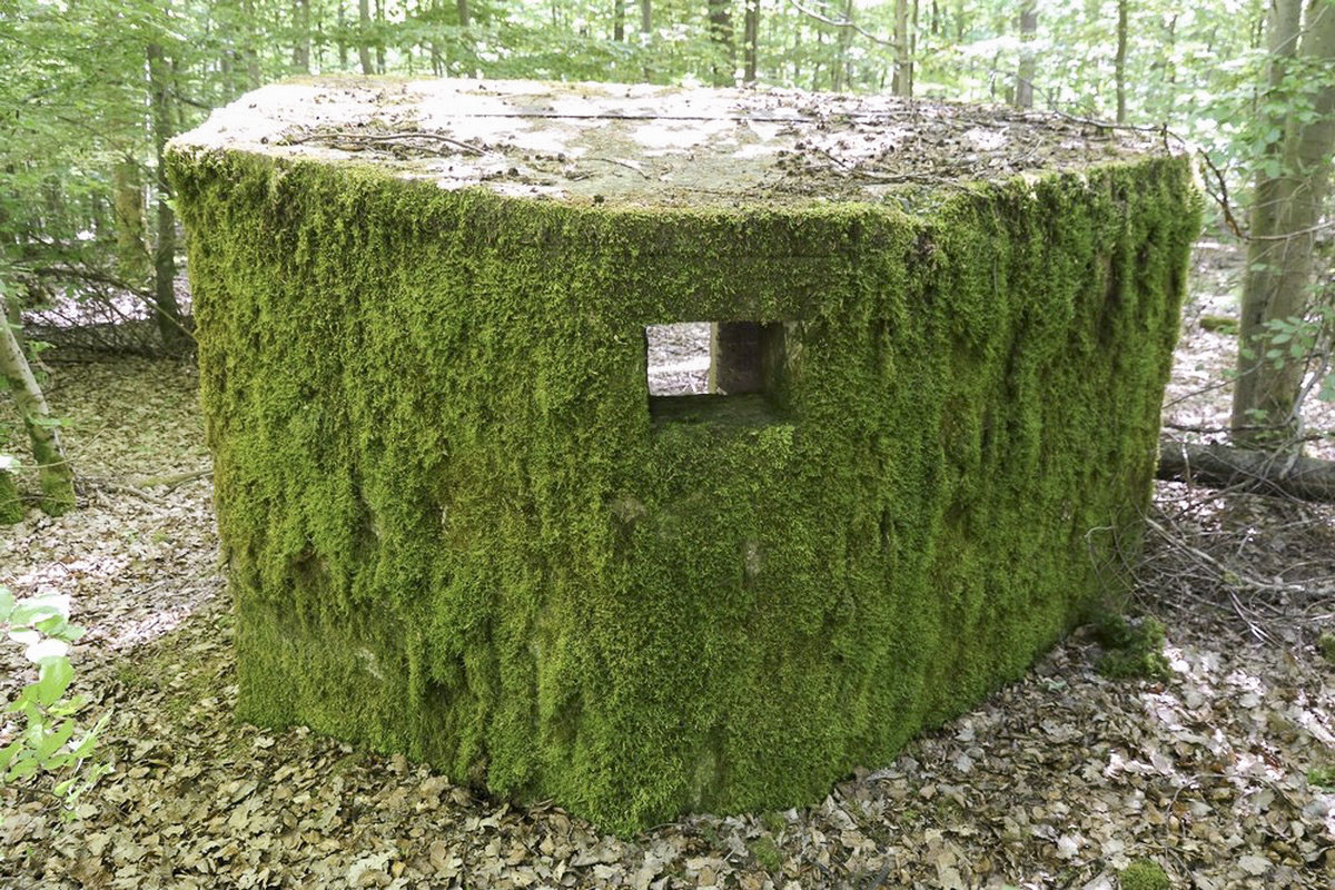Ligne Maginot - REISWEG 2 - (Blockhaus pour arme infanterie) - 