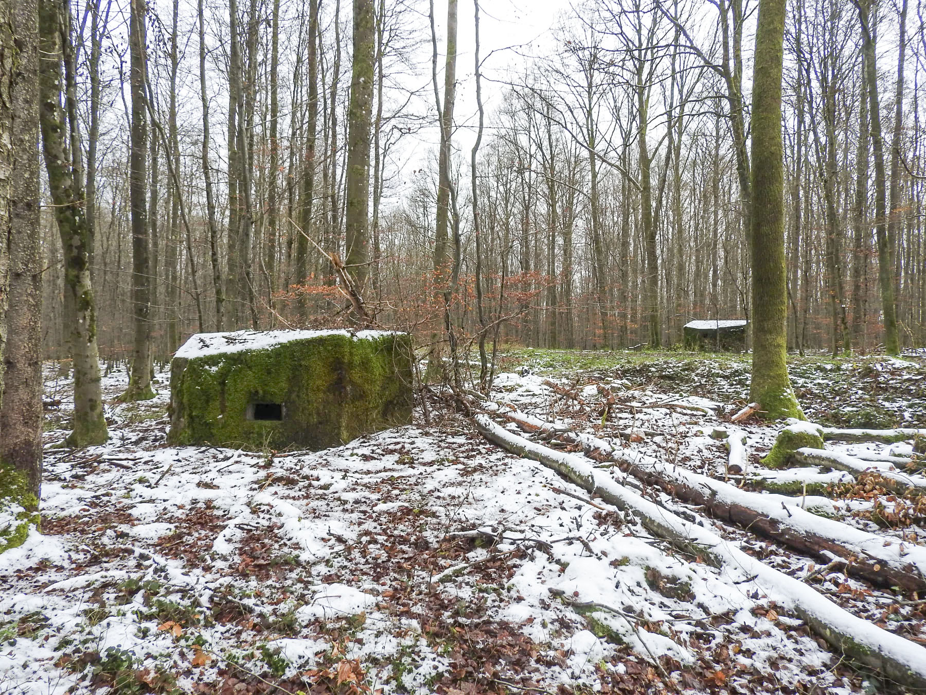 Ligne Maginot - REISWEG 3 - (Blockhaus pour arme infanterie) - Une vue du point d'appui.
Le blockhaus 3 devant et à l'arrière le n°2.