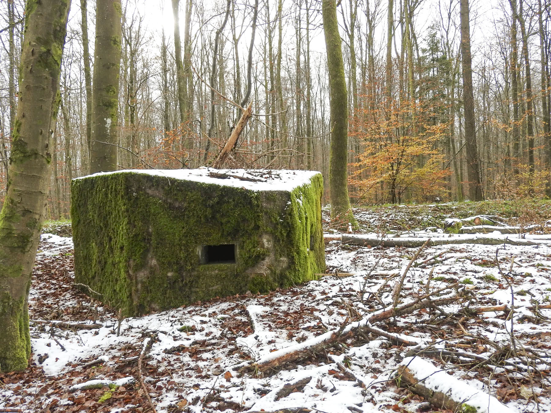 Ligne Maginot - REISWEG 3 - (Blockhaus pour arme infanterie) - La façade de tir.