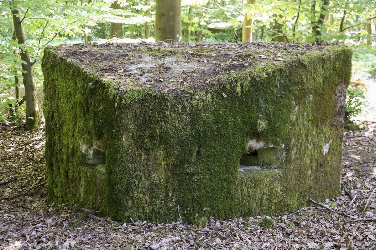Ligne Maginot - REISWEG 3 - (Blockhaus pour arme infanterie) - 