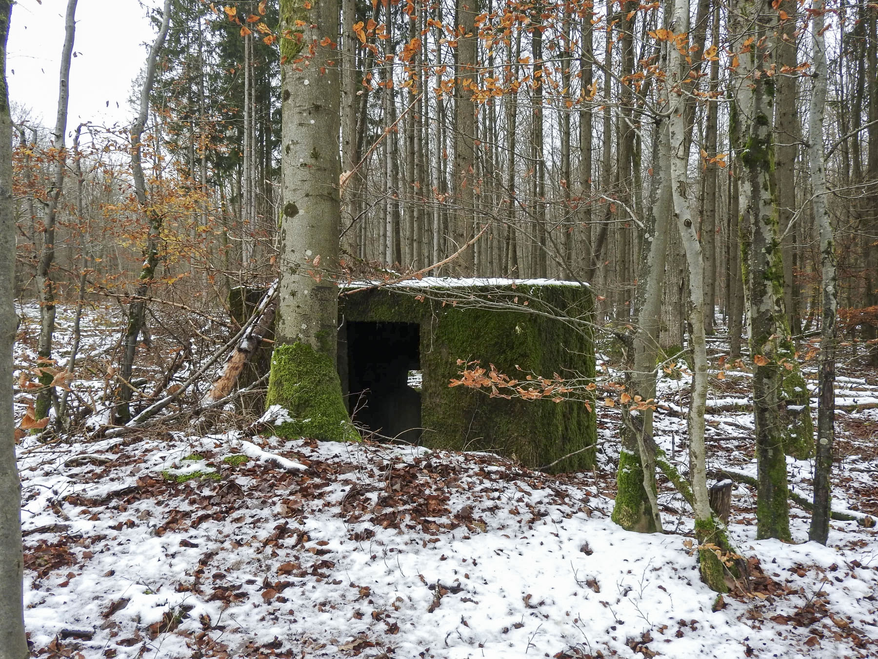 Ligne Maginot - REISWEG 3 - (Blockhaus pour arme infanterie) - La vue arrière du blockhaus.