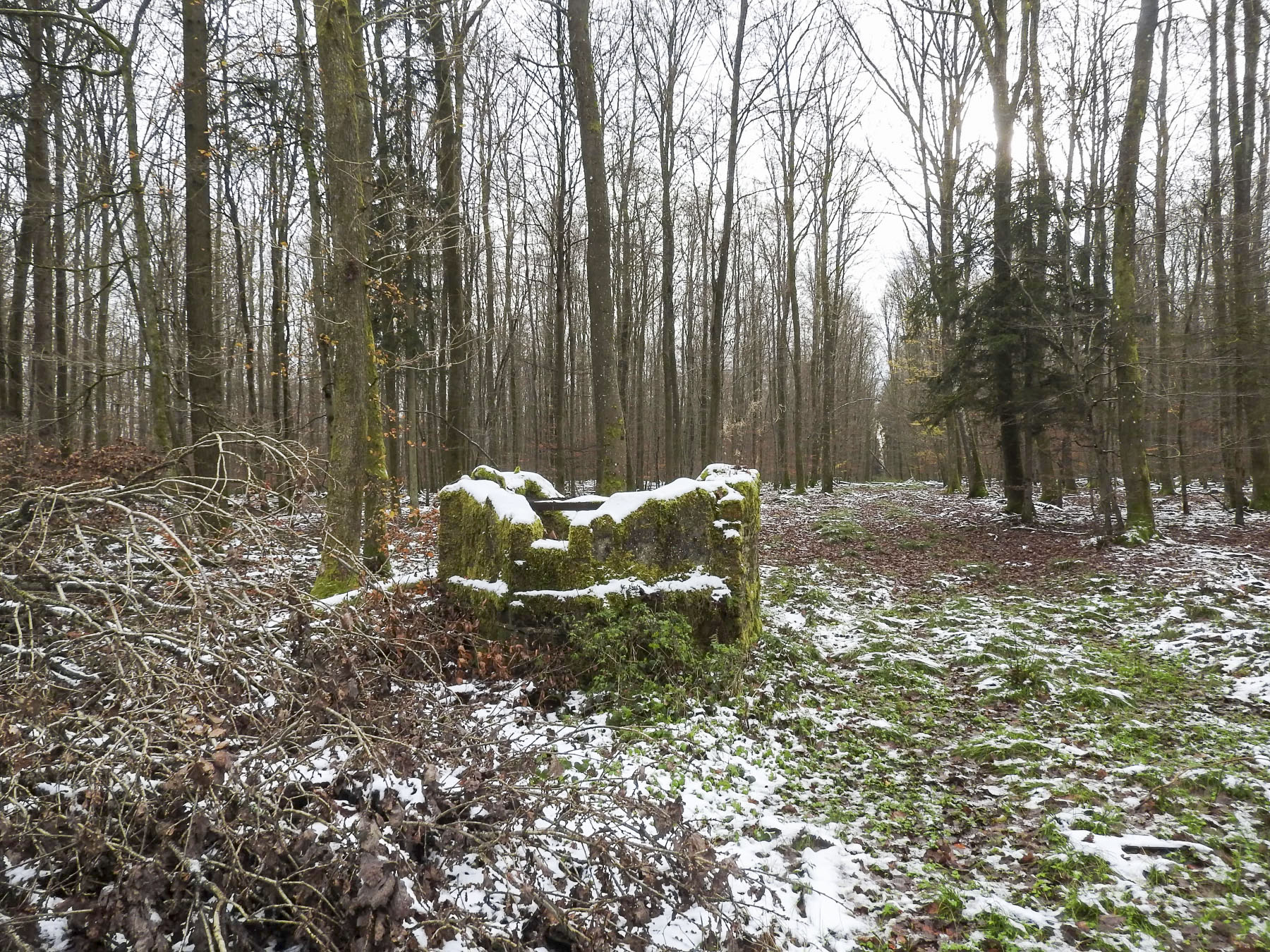 Ligne Maginot - REISWEG 1 - (Blockhaus pour arme infanterie) - 