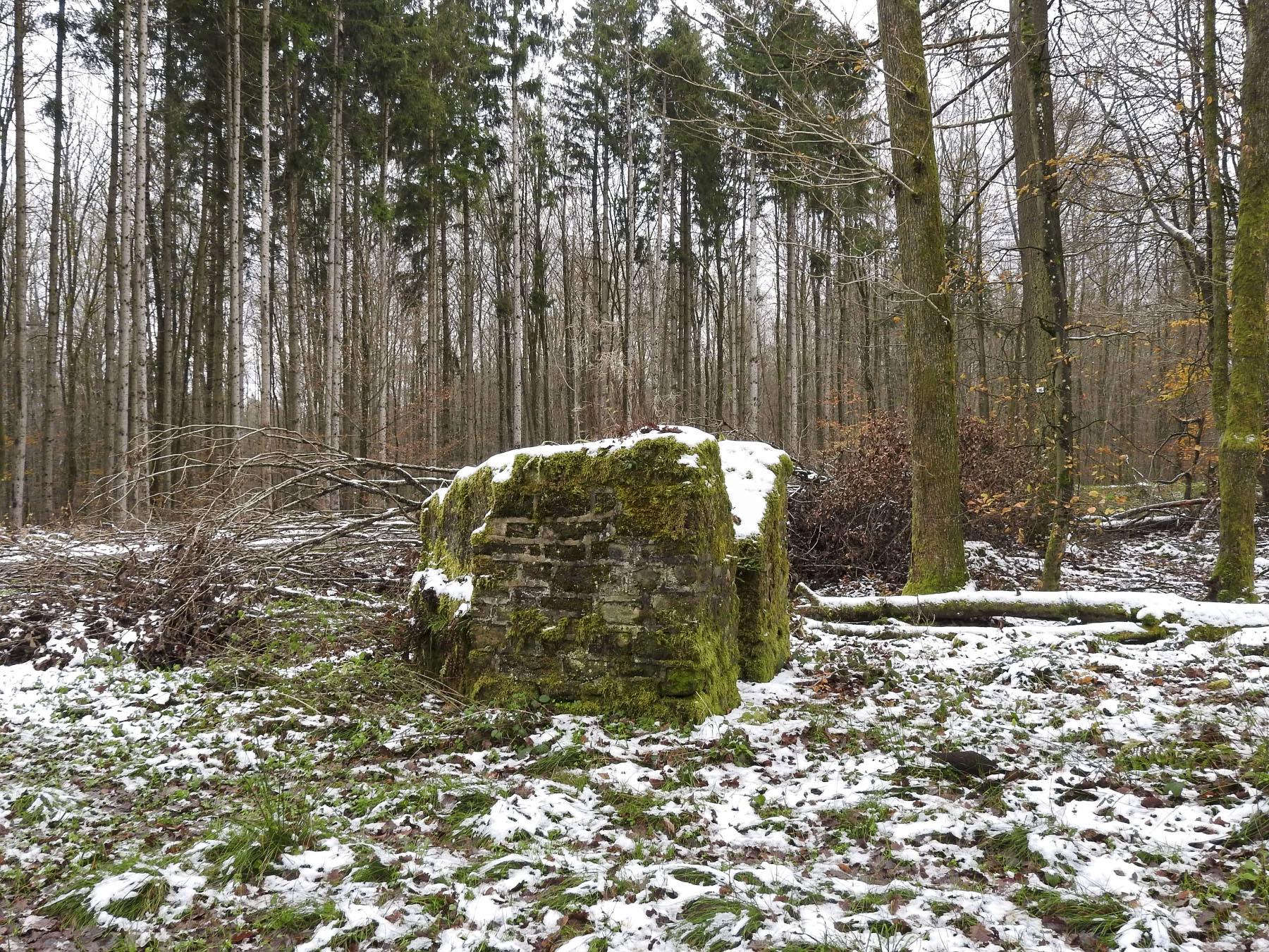 Ligne Maginot - REISWEG 1 - (Blockhaus pour arme infanterie) - 