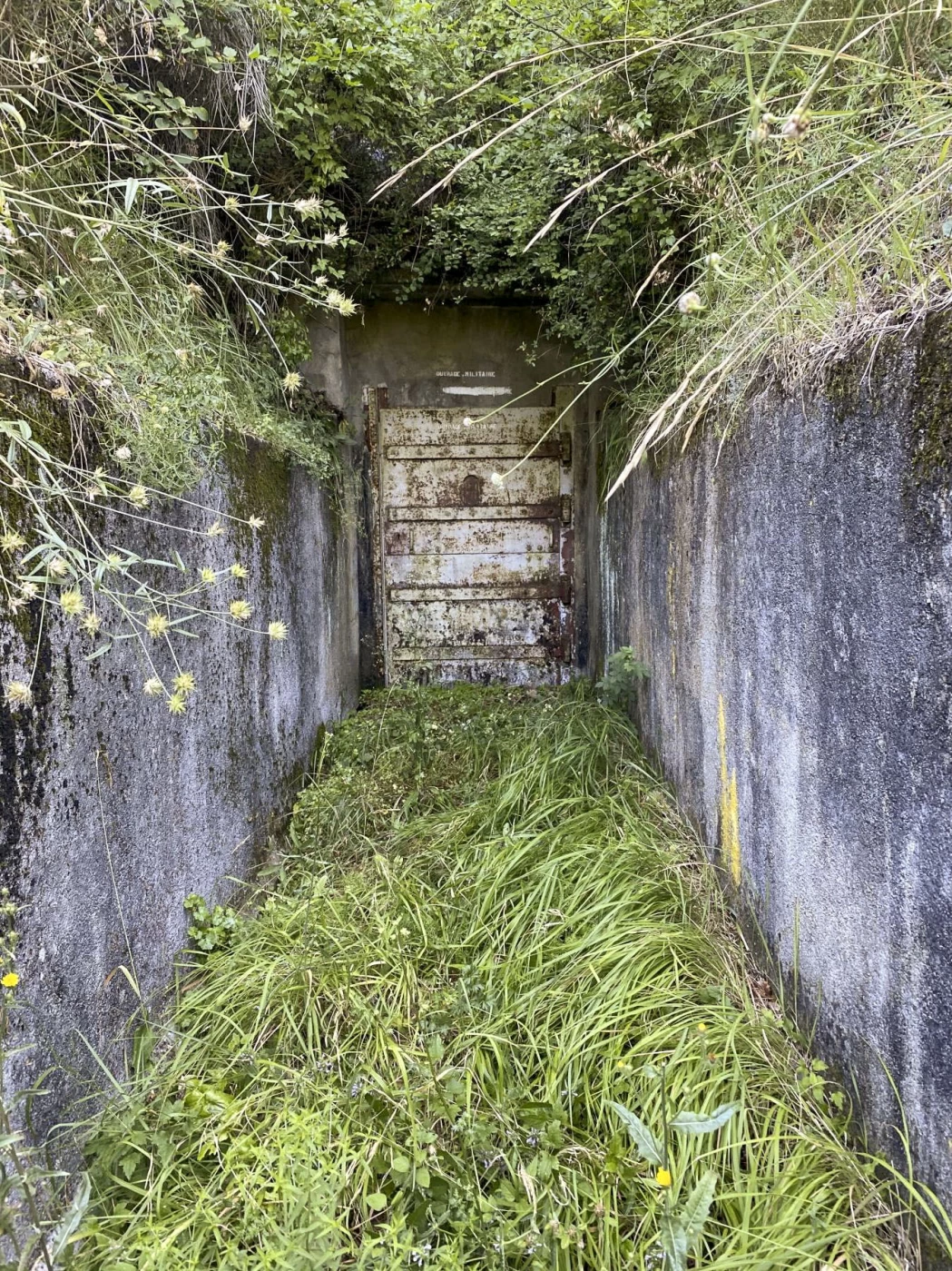 Ligne Maginot - BARBONNET (SOURCE) - (Divers) - L'accès au captage