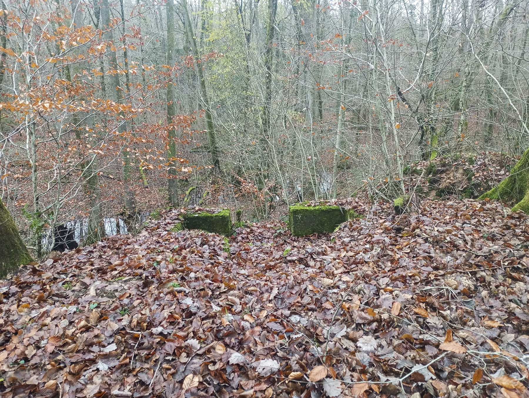 Ligne Maginot - KOENIGSBRUCK  2 - (Cuve pour arme d'infanterie) - La cuve