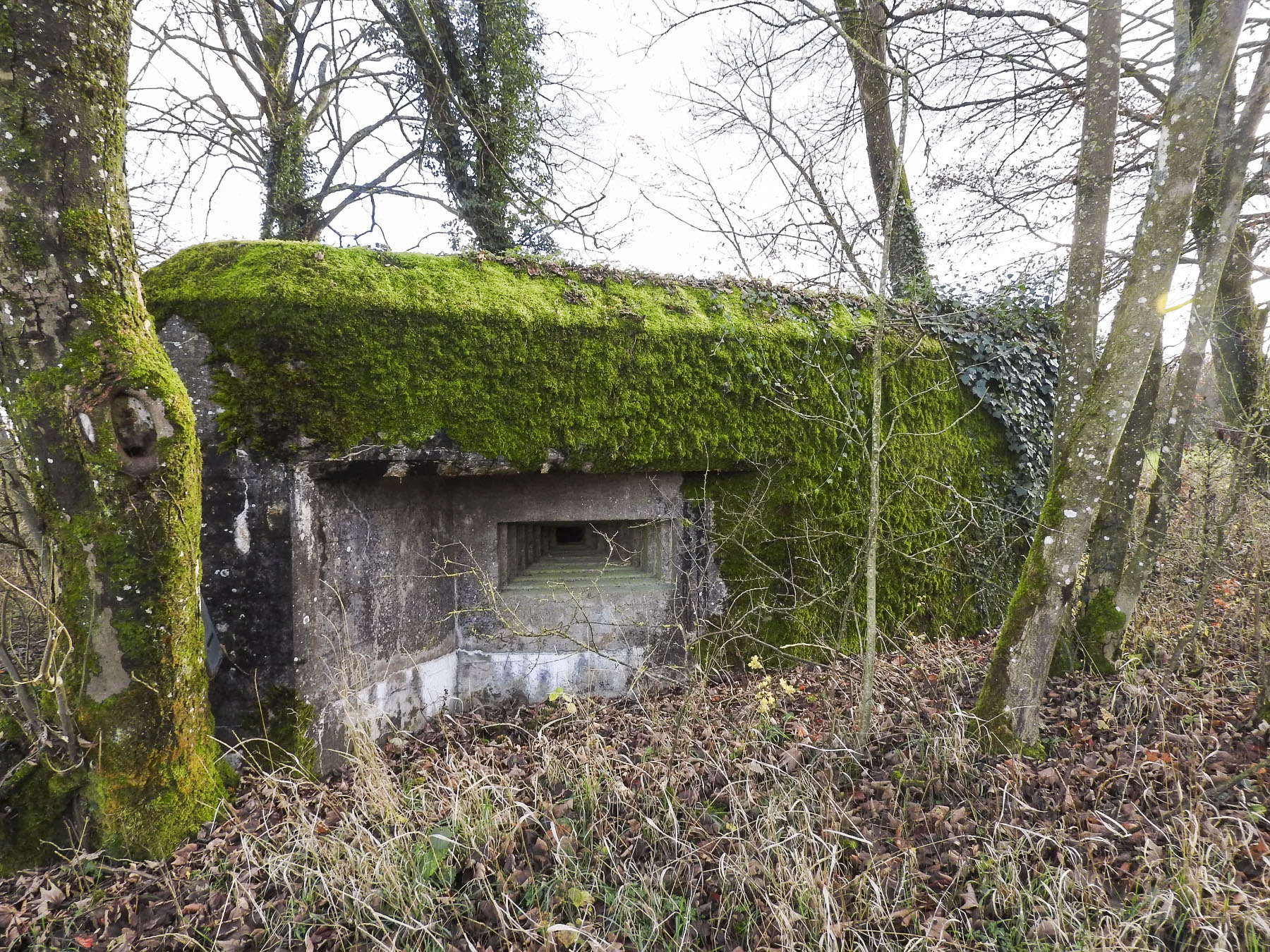 Ligne Maginot - GUISING 4 (AVANT POSTE) - (Blockhaus pour canon) - La façade de tir pour la mitrailleuse.