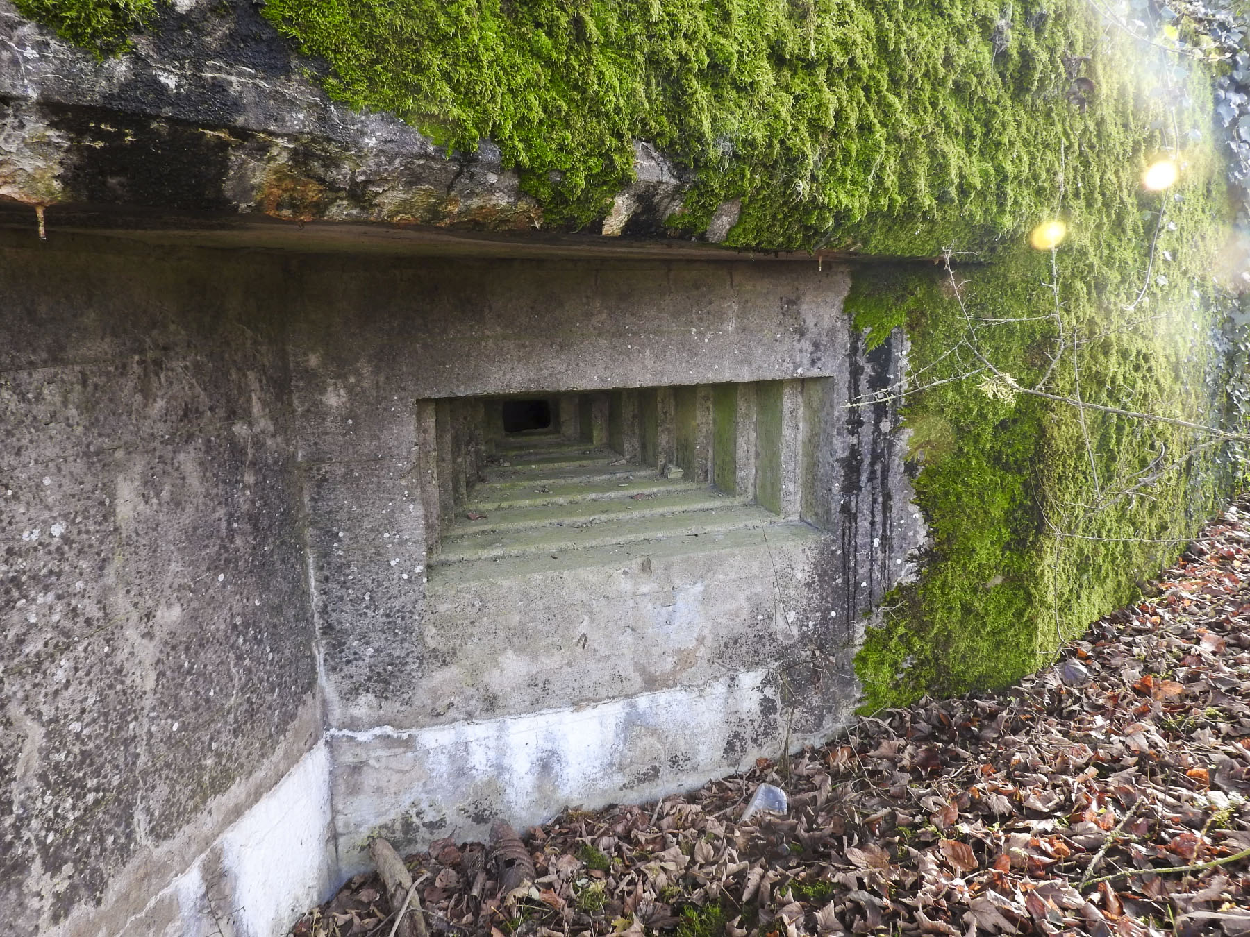 Ligne Maginot - GUISING 4 (AVANT POSTE) - (Blockhaus pour canon) - Le créneau pour mitrailleuse.