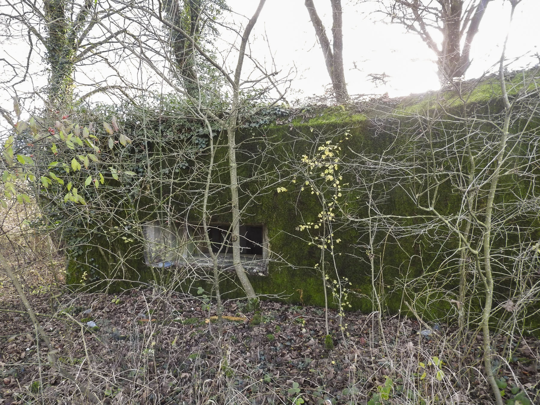 Ligne Maginot - GUISING 4 (AVANT POSTE) - (Blockhaus pour canon) - La façade de tir pour le canon anti-char.