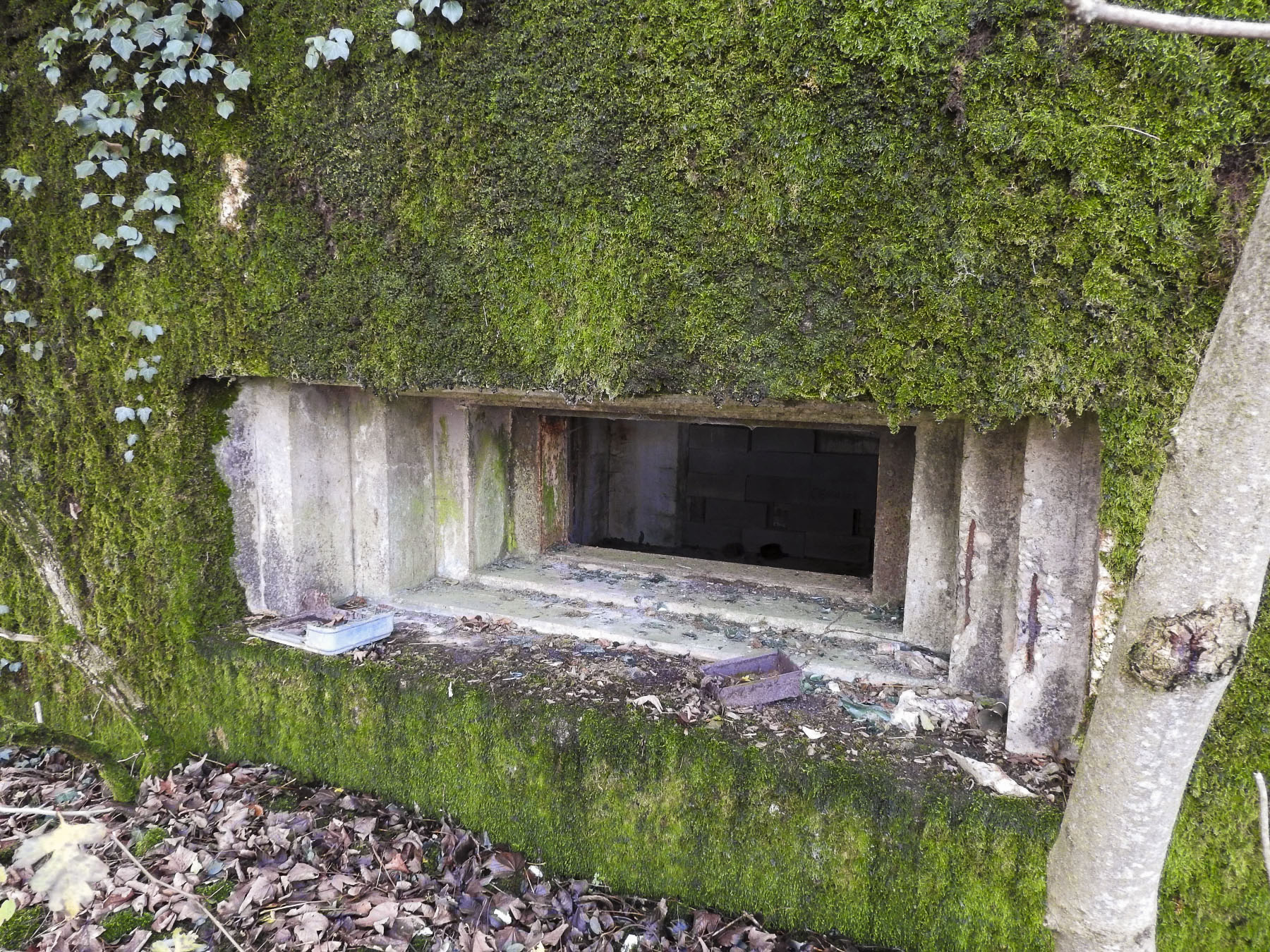 Ligne Maginot - GUISING 4 (AVANT POSTE) - (Blockhaus pour canon) - Le créneau du canon anti-char.