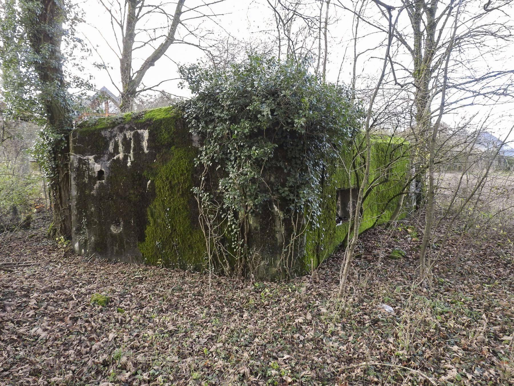 Ligne Maginot - GUISING 4 (AVANT POSTE) - (Blockhaus pour canon) - La façade sud.