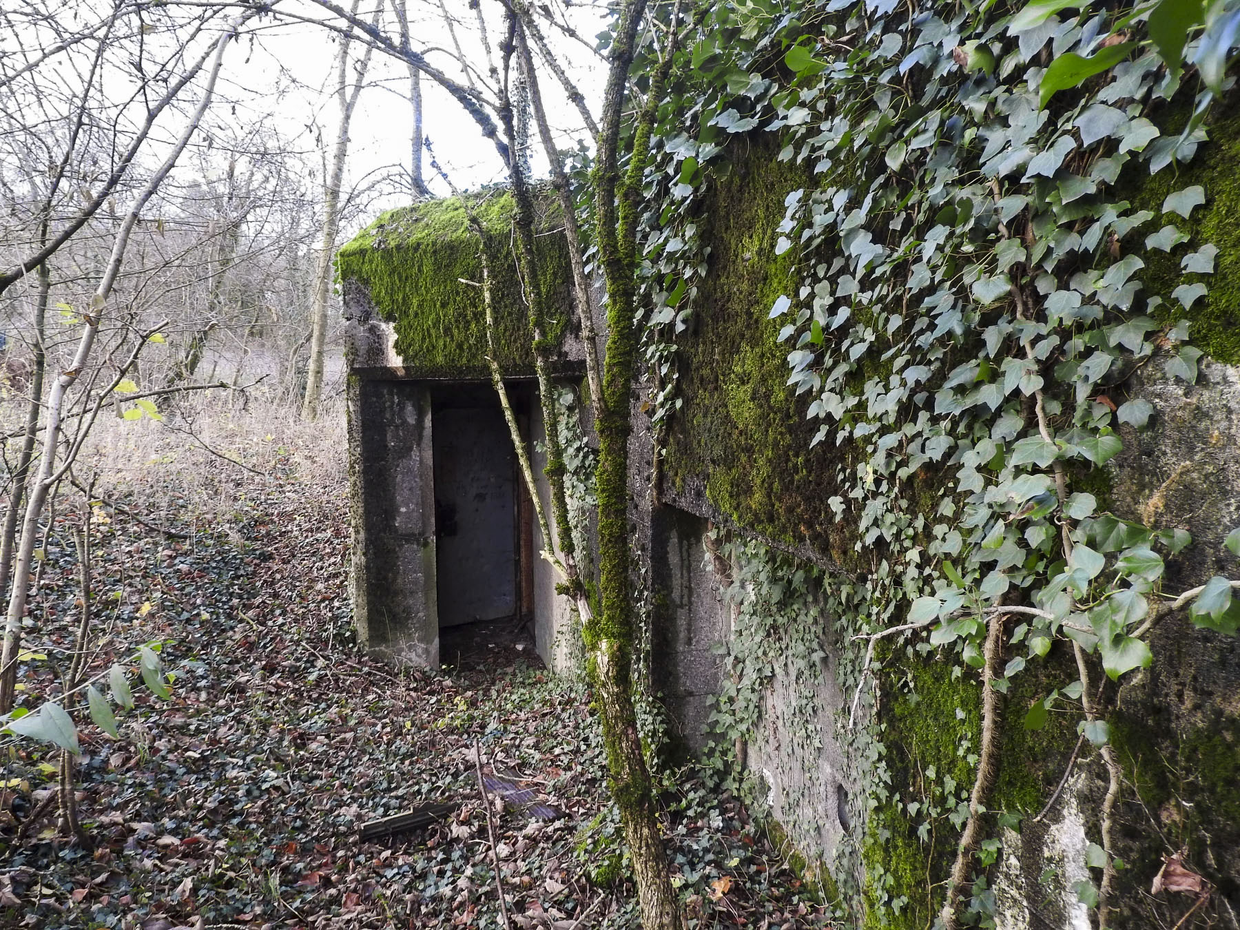 Ligne Maginot - GUISING 4 (AVANT POSTE) - (Blockhaus pour canon) - La façade arrière de l'entrée.