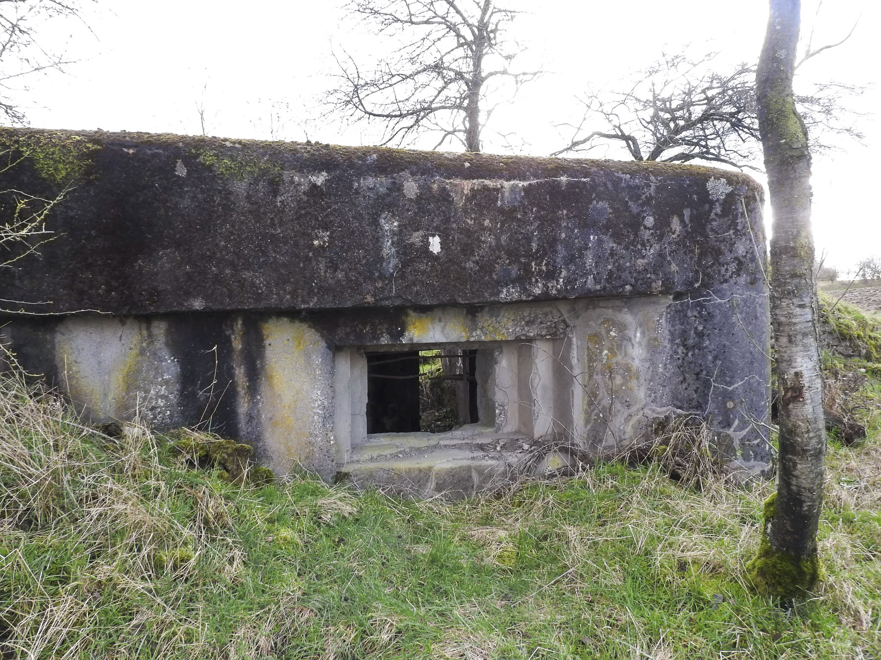 Ligne Maginot - GUISING 2 (AVANT POSTE) - (Blockhaus pour arme infanterie) - Un créneau pour mitrailleuse.
