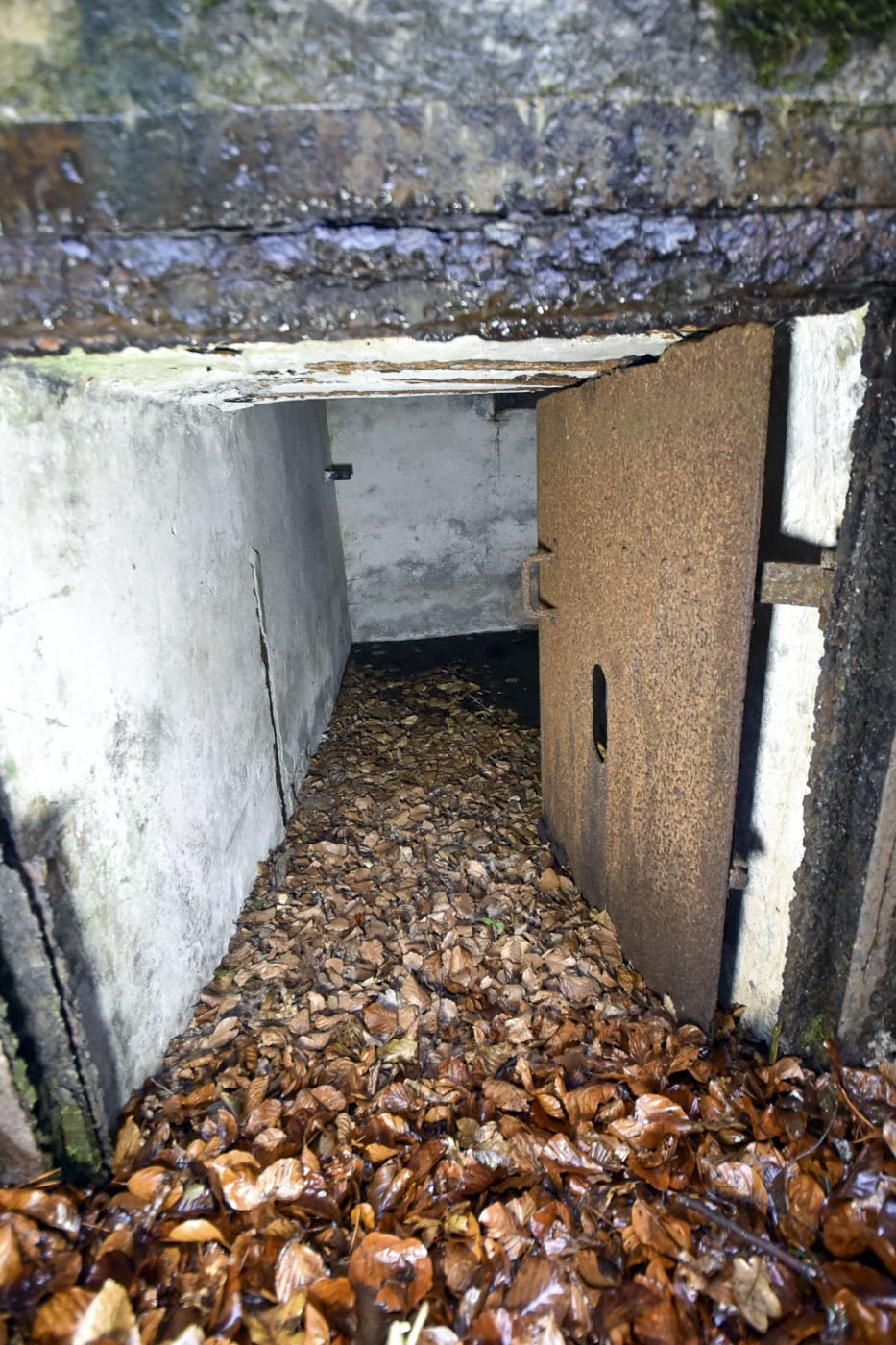 Ligne Maginot - WINECKERTHAL 2 - (Blockhaus pour arme infanterie) - 