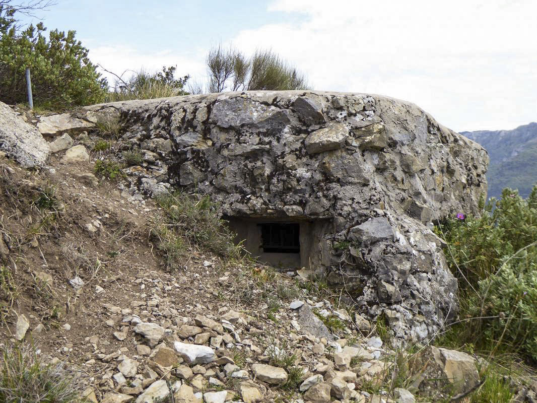 Ligne Maginot - CROIX DE COUGOULE 1 - (Blockhaus pour arme infanterie) - 