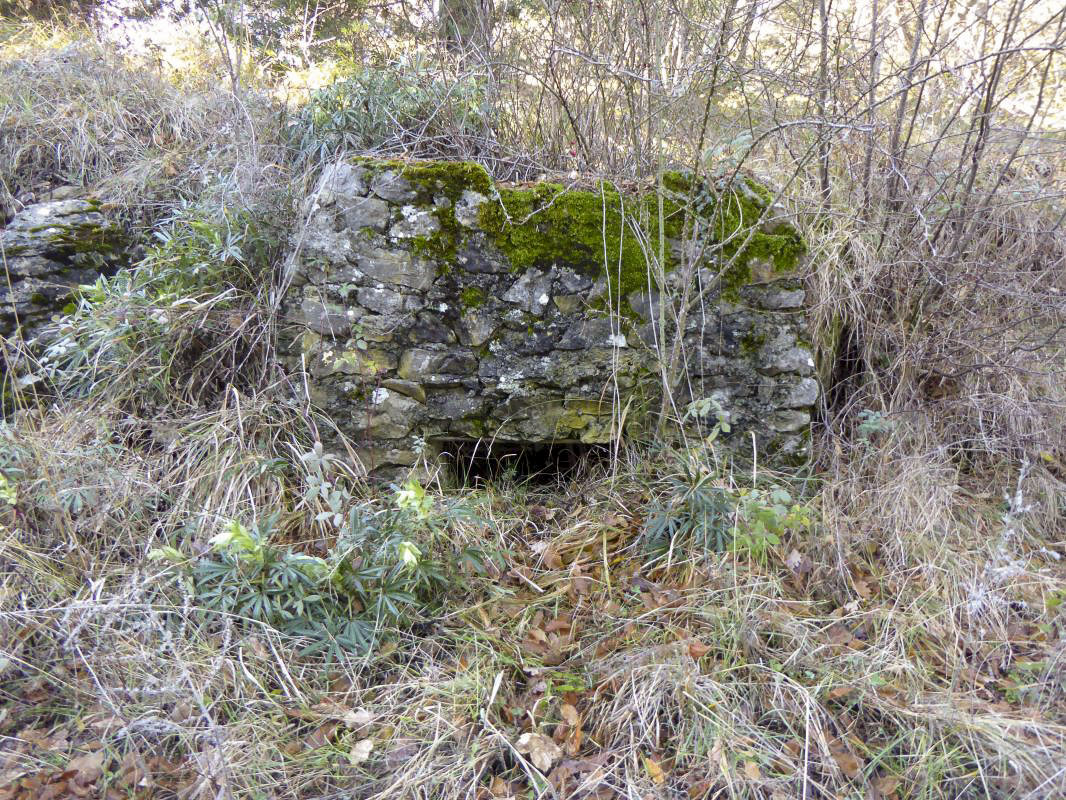 Ligne Maginot - PAS DE L'AGREE NORD - (Blockhaus pour arme infanterie) - 